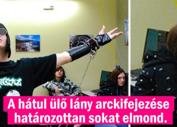 15 fotó, mely láttán azt kérdeztük: “hogy történhetett ez?”