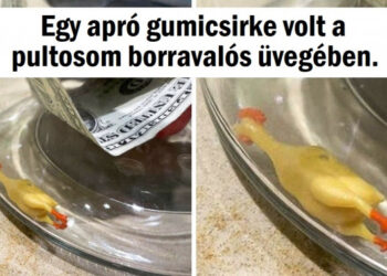 20+ fénykép, ahol az ördög a részletekben rejlik