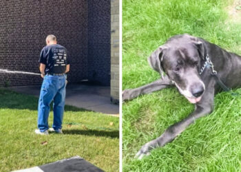 18 fénykép, mely totálisan megtévesztheti az elmédet és a szemed