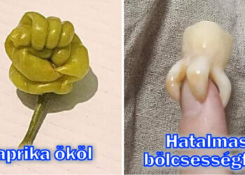 20 eset, amikor hétköznapi dolgok hirtelen nagyon furák lettek