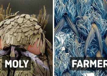 17 mikroszkóppal készült kép, mely teljesen új szemszögből mutatja be az orrunk előtt lévő világot