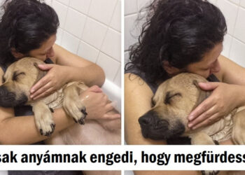 20 személy, aki elég szerencsés volt ahhoz, hogy lásson valamit, mely boldogabbá tette a napját