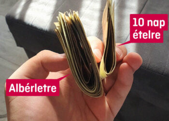 20 fájdalmas helyzet, mely mindenki számára ismerős lehet, aki valaha is bérelt már lakást