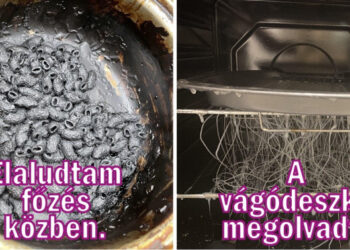 20 szituáció, amikor az emberek nem tudták, hogy nevessenek vagy sírjanak