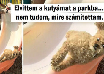 18 személy, aki valóságos vígjátékot látott a mindennapi dolgai közben