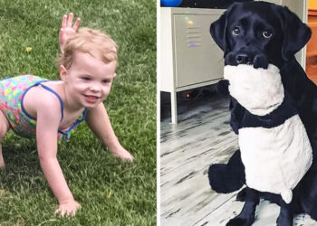 19 furcsa fotó, melyek olyan pillanatot örökítettek meg, ami után csak pislogni tudsz