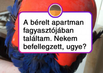 16 szerencsétlen ember, akik soha többet nem fognak szállást foglalni az interneten