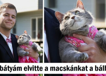 20 kép, ami bebizonyította, hogy az élet tele van komédiával