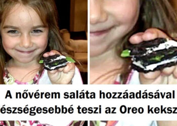 23 fénykép, mely bizonyítja, hogy a gyermekek logikája egy másik bolygóról származik