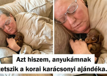 15 kép, ami megmutatja, hogy sosem túl késő találkozni a lelki társaddal