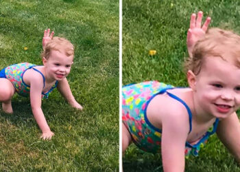 21 fotó, ami úgy átveri az agyad, hogy lábad nem éri a földet