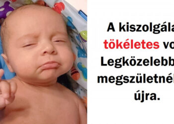 18 zseniálisan elkapott pillanat, ami annyira pöpec, hogy díjat érdemelne