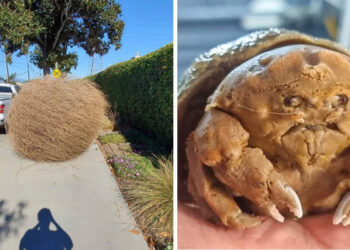 21 alkalom, amikor hiba csúszott az univerzumba és nem érted mi van, hiába nézed