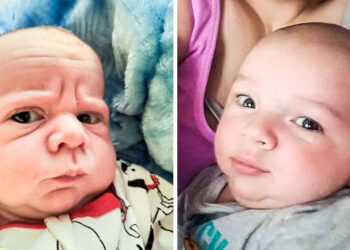 20 baba, akik úgy néznek ki, mint a nyugdíjasok, pedig még csak most érkeztek a világra