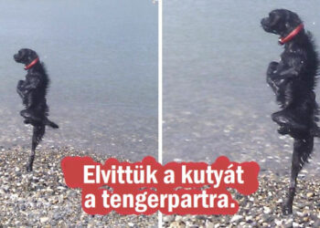 15 fotó, amelyek megértéséhez jobb ha beszélsz egy tudóssal, mert totál eszement