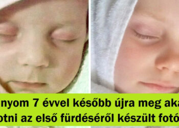 15+ fénykép, amelynek szívet melengető története van