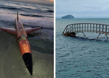 14 elképesztő dolog, amit az emberek megosztottak és gyorsan elterjedt a világon