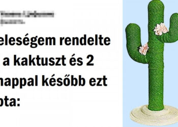 20+ eszeveszetten elcseszett vásárlás, ami után ezerszer meggondolod mit teszel a kosaradba