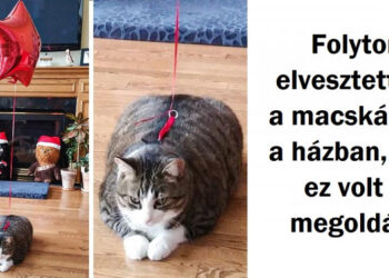 21 személy, akik totál zseniálisan oldják meg a problémáikat