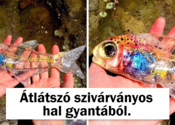 15 alkalom, mikor egy művész kreativitása túlmutatott a valóságon