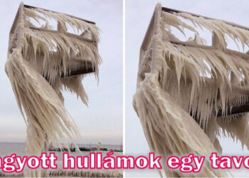 15+ alkalom, amikor a természet olyat produkált, amitől szó szerint az állad leesik