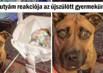 15 mosolygós felvétel, melytől az egész családodat meg akarod majd ölelni