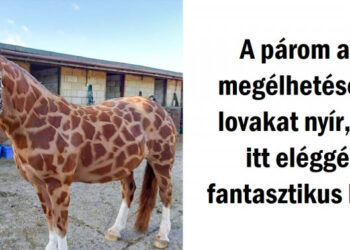 16 alkalom, mikor az emberek elég szerencsések voltak, hogy megörökítsenek valami egyedit