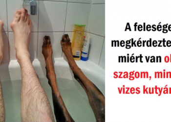 14 személy került olyan komikus helyzetekbe, amiket egyszerűen meg kellett osztaniuk