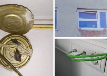 14 fájdalmas alkalom, amikor a “szakemberek” úgy döntöttek, hogy jóvanazúgy