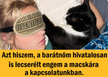 15 fotó egy váratlanul édes csavarral