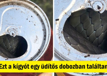 17 véletlenszerű felfedezés, mely miatt az emberek tágra nyitották a szemüket