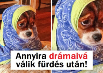 15 érzelmes fotó, melytől az egész világot meg akarod ölelni