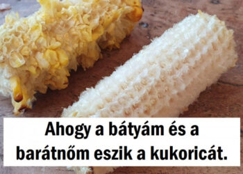 15+ felvétel, amely bebizonyítja, hogy 2 fajta ember van a világon