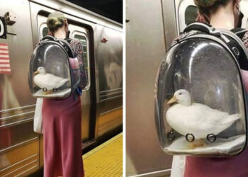 15 dolog, amiről nem gondoltuk volna, hogy látni fogjuk, amíg az élet elénk nem állította