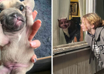 20 tökéletes pillanatban készített fotó, amihez piszok nagy szerencse kellett