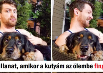 14 fénykép, mely a lehető legjobb pillanatban készült