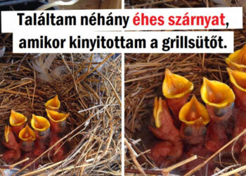 15 alkalom, mikor az emberek egy kicsit messze voltak attól, hogy normális napjuk legyen