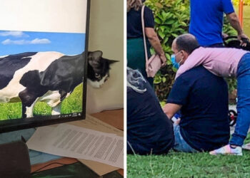 15 véletlen fénykép, amely határozottan nem az, aminek látszik