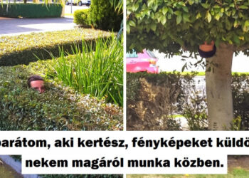 16 személy, akik annyira szeretik a munkájukat és a munkatársaikat, hogy ezt nem tudják nem kimutatni