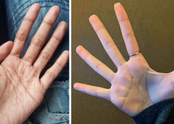 15 szerencsés személy, akiknek nem kell keményen próbálkozniuk, hogy reflektorfénybe kerüljenek