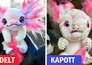 16 személy, akik nem azt kapták, amire számítottak