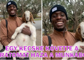 16 felvétel, mellyel őszinte örömöt érezhetsz a képernyőn keresztül