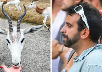 16 fénykép, amely arra késztethet, hogy időpontot kérj a szemorvosodtól