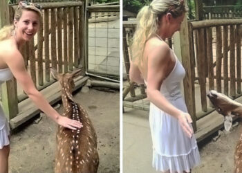 15+ alkalom, mikor az emberek úgy láttak egy műsort, hogy nem is számítottak rá