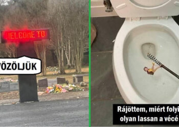 17 alkalom, amikor az emberek olyan váratlan dolgokat láttak, hogy besírtak a nevetéstől