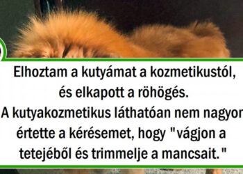 20 gazdi, aki nem ismerte fel a kedvencét a kozmetikus után