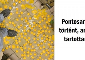 15 alak, aki megtapasztalta a balszerencsét, és nem tudott ellenállni a fotózásnak