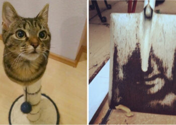 16 fura fotó, ami többszörösen átveri az agyunkat 