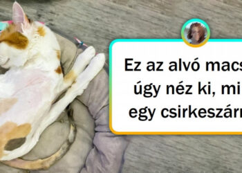 15 fotó, melyek garantáltan játszanak az elméddel