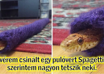 25 személy, akik úgy néznek szembe a kihívásokkal, mint senki más